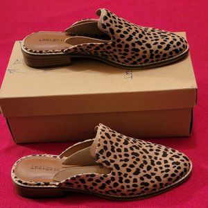 Leopard Print Flats *NWOT*